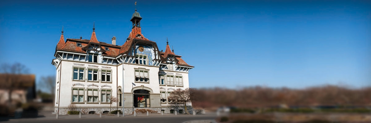 backround logo Business School Lausanne